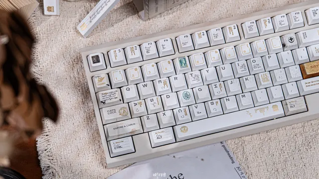 加缪存在的呼吸 实拍 14