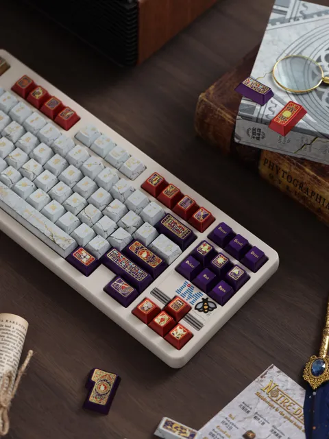 雨果巴黎圣母院 实拍 10
